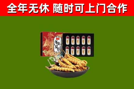 晴隆县烟酒回收冬虫夏草礼盒.jpg
